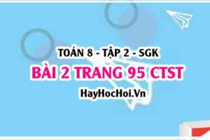 Bài 2 trang 95 Toán 8 Tập 2 Chân trời sáng tạo